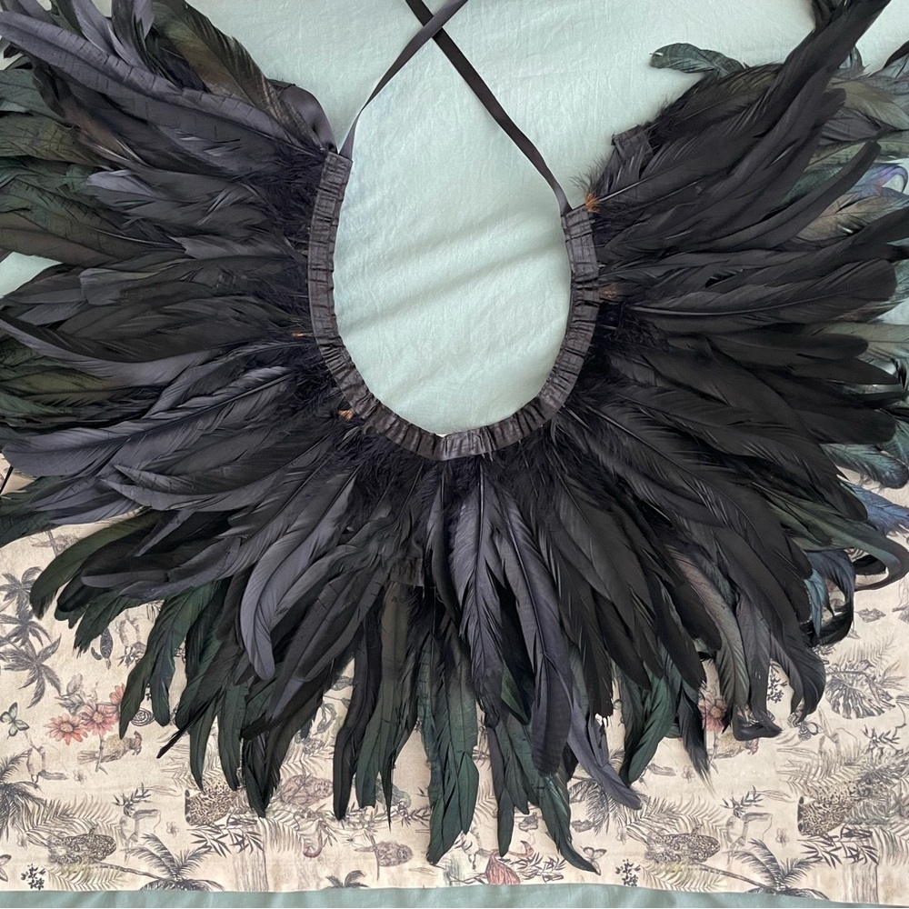 Elegant Black Feather Collar